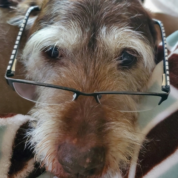 😃❤️LET'S BUNDLE! 4/$20!($10 items or less)‼️ - Picture 3 of 4